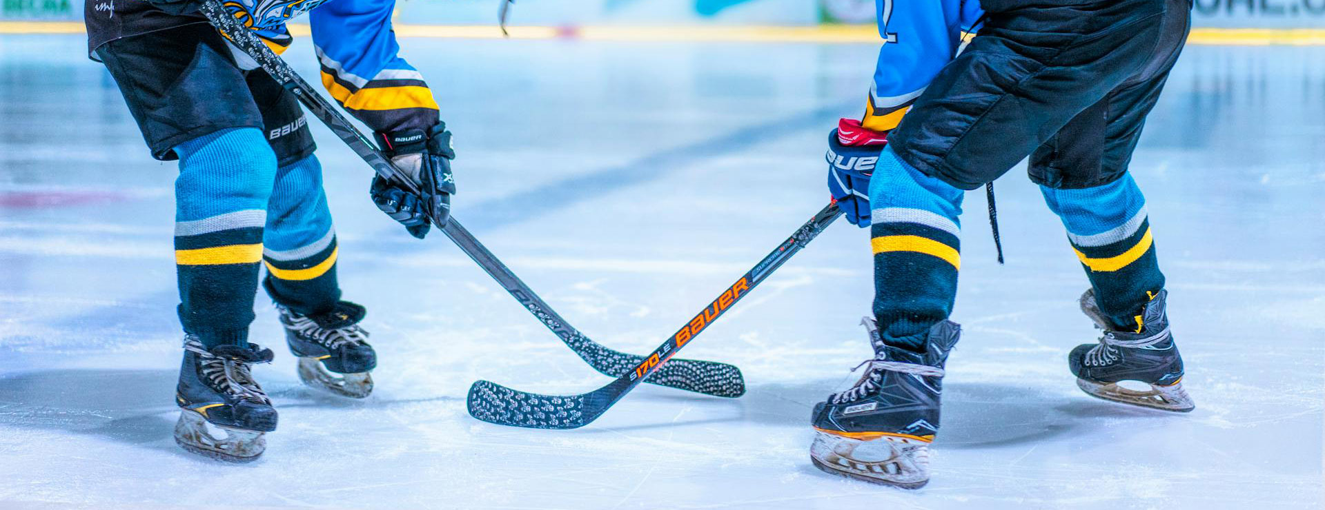 Bauer 1 Bauer -Bauer pexels freestockpro 3159812